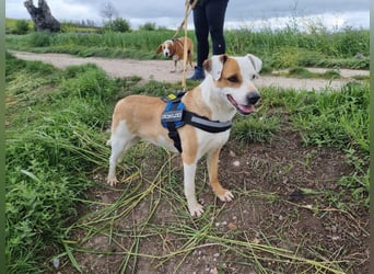 Pate für Sabrina gesucht