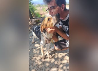 Hermes sucht seine Menschen