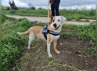 Pate für Sabrina gesucht