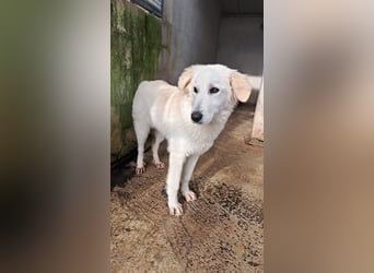 Adele möchte ankommen