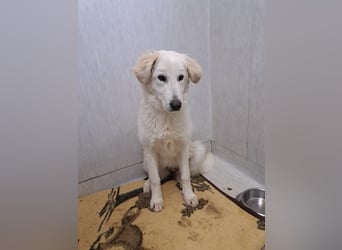 Adele möchte ankommen