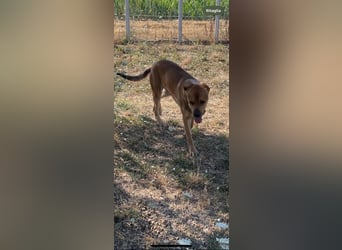 Frank wartet auf sein Zuhause