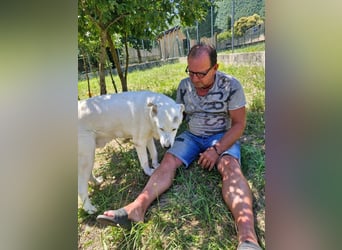 Casper sucht seine Herzensmenschen