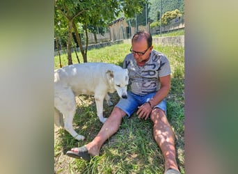 Casper sucht seine Herzensmenschen