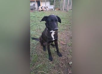 Fanny möchte ankommen