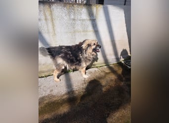 Argo sucht seine Menschen