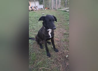 Fanny möchte ankommen