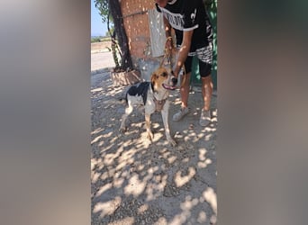 Hermes sucht seine Menschen