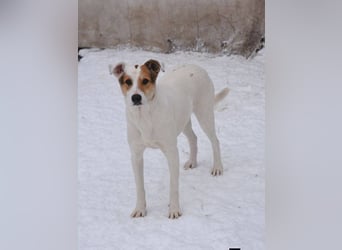 Saschka