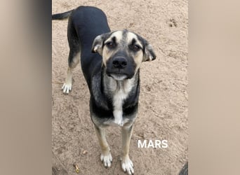 Mars hat noch Hoffnung