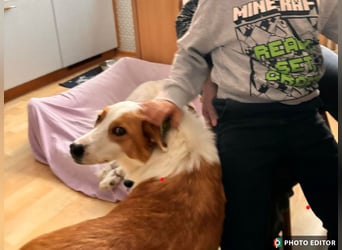 Dana sucht ihre liebevolle Familie