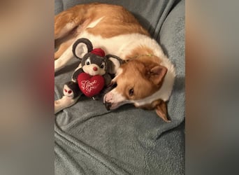 Dana sucht ihre liebevolle Familie