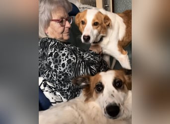 Dana sucht ihre liebevolle Familie