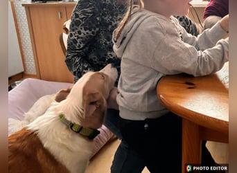 Dana sucht ihre liebevolle Familie