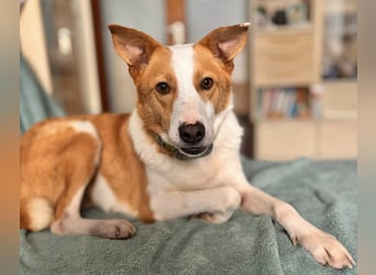 Dana sucht ihre liebevolle Familie