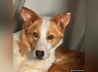 Dana sucht ihre liebevolle Familie