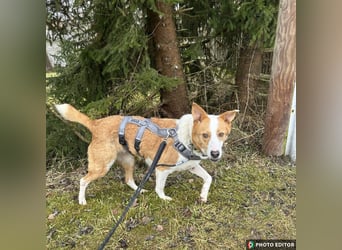 Dana sucht ihre liebevolle Familie