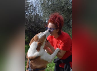 Theo: Prachtjunge auf vier Pfoten