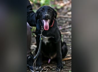 Süßer Charmeur Ulli