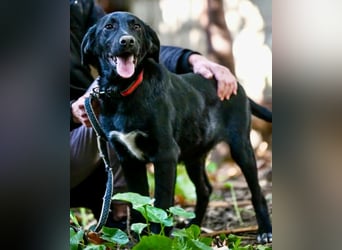 Süßer Charmeur Ulli