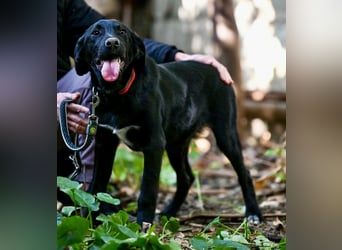 Süßer Charmeur Ulli