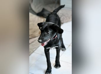 Süßer Charmeur Ulli