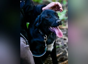 Süßer Charmeur Ulli