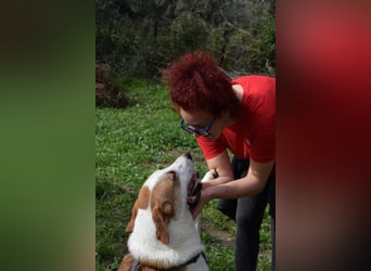 Theo: Prachtjunge auf vier Pfoten