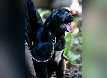 Süßer Charmeur Ulli