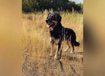 Kali - auf der Suche nach dem Glück