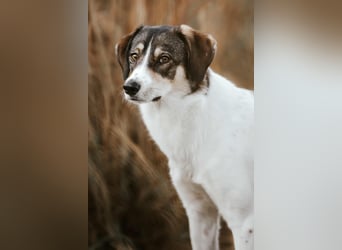 Adam - erobert schnell die Herzen