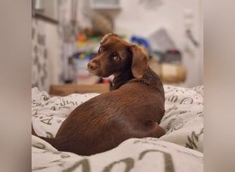 Mira- eigenständig&aktiv