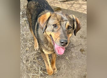 Bastian - aus Mangalia