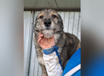 Ernie - hat Lust die Welt zu entdecken