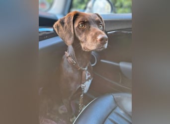 Mira- eigenständig&aktiv