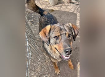Bastian - aus Mangalia