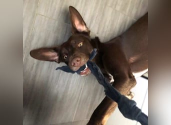 Mira- eigenständig&aktiv