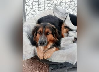 Lewis , der charmante Herzensbrecher mit der Herzchen-Nase!