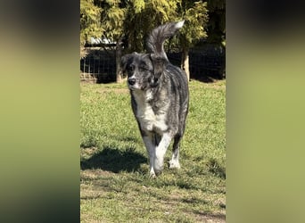 Lea sucht ihr Zuhause