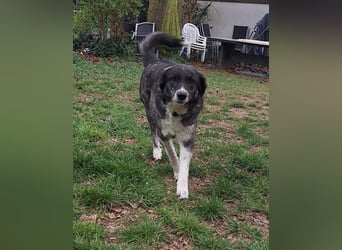 Lea sucht ihr Zuhause