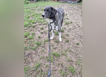 Lea sucht ihr Zuhause