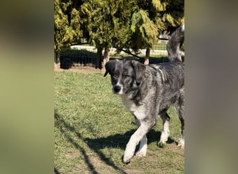 Lea sucht ihr Zuhause