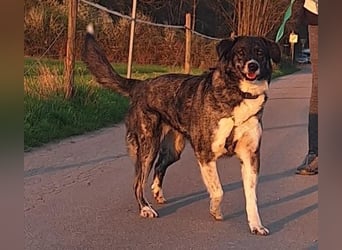 Lea sucht ihr Zuhause