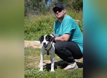 Alice- mit einem Lächeln ins Wunderland