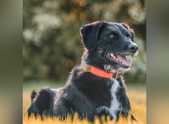 Odin - ein loyaler Sportler