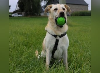 VENJA - ein lieber Kerl