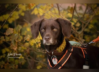 Mira - ist freiheitsliebend