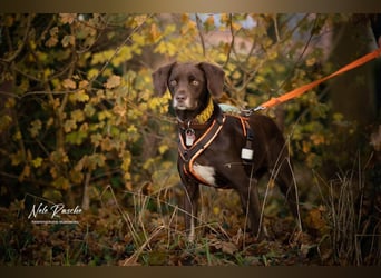 Mira - ist freiheitsliebend