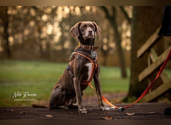 Mira - ist freiheitsliebend