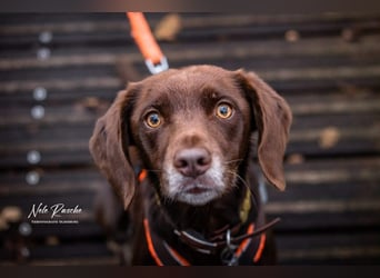 Mira - ist freiheitsliebend